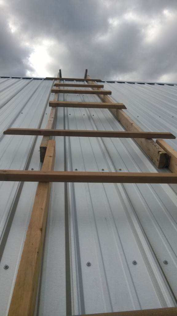 "Ladder" for safely scaling roof
